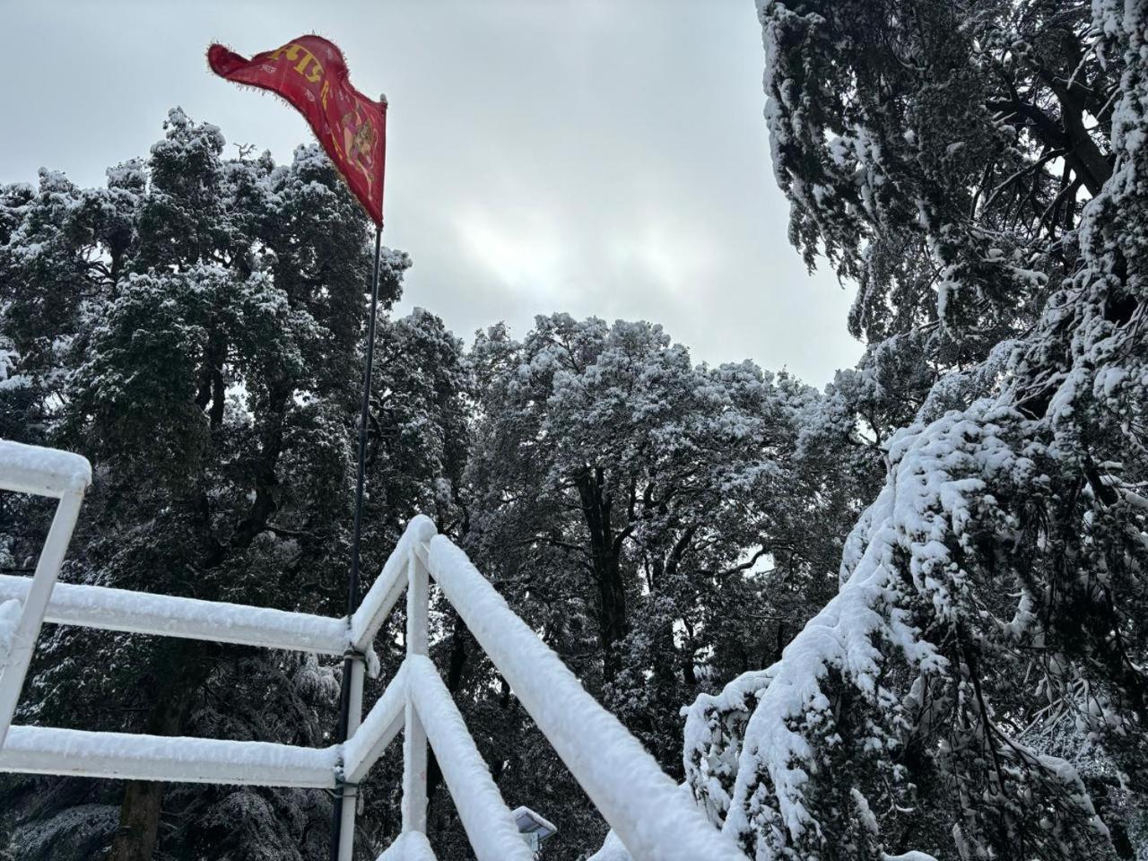 Hotel Jakhu Heights شيملا المظهر الخارجي الصورة